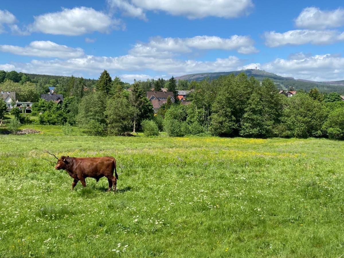 Berglage - Das Urlaubzuhause Appartement Braunlage Buitenkant foto